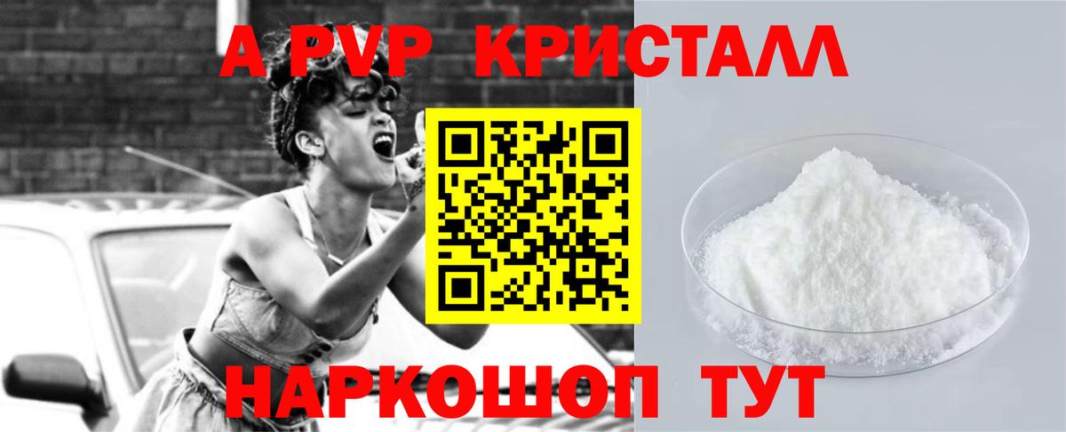 A-PVP СК КРИС Петропавловск-Камчатский