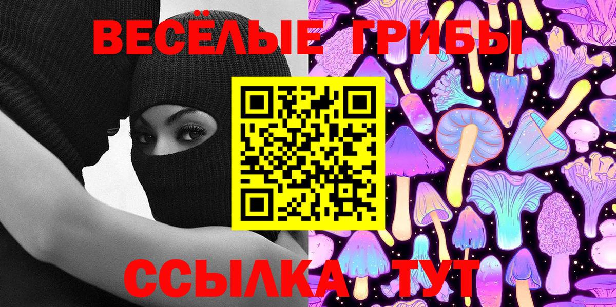 Псилоцибиновые грибы Psilocybine cubensis Петропавловск-Камчатский