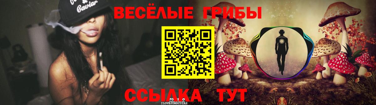 Петропавловск-Камчатский  Псилоцибиновые грибы GOLDEN TEACHER  что такое   Вход с VPN  Псилоцибиновые грибы GOLDEN TEACHER 